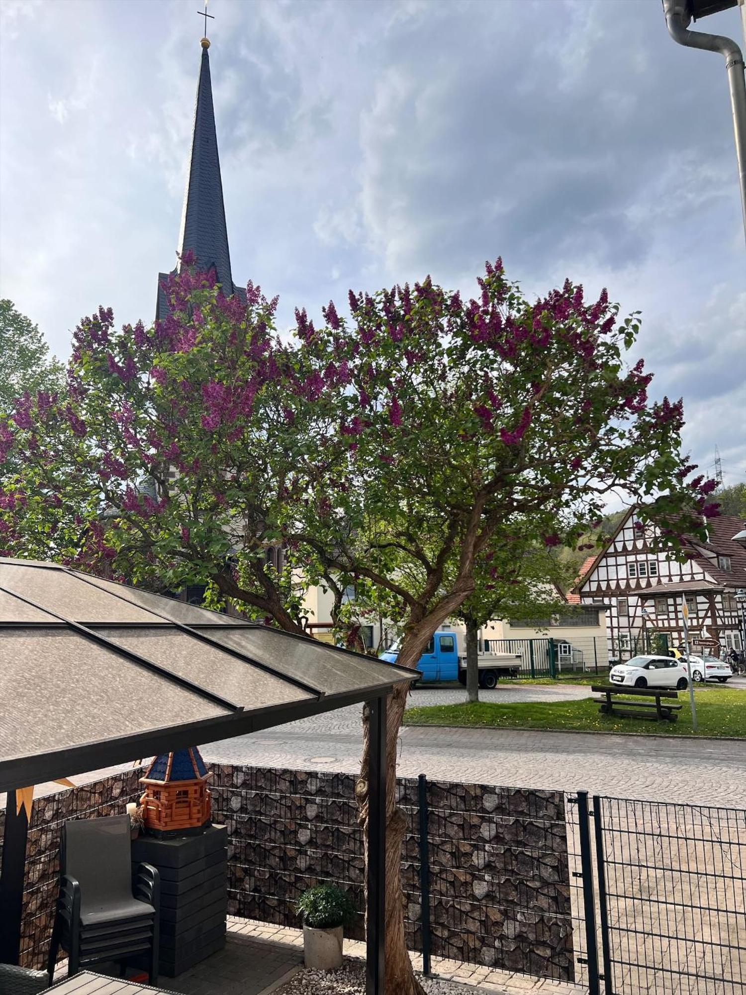 Ferien- Und Monteurwohnungen Andrej Eisenach Exteriér fotografie